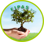 Fipas Fertilizzanti